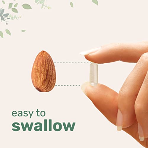 Micro Ingredients 5-HTP 200mg with Chamomile Flower Extract, 180 Capsules, 2 in 1 Formula Micro Ingredients