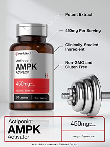 AMPK Metabolic Activator 450 mg | 60 Capsules | Non-GMO, Gluten Free | Jiaogulan Gynostemma Horbäach
