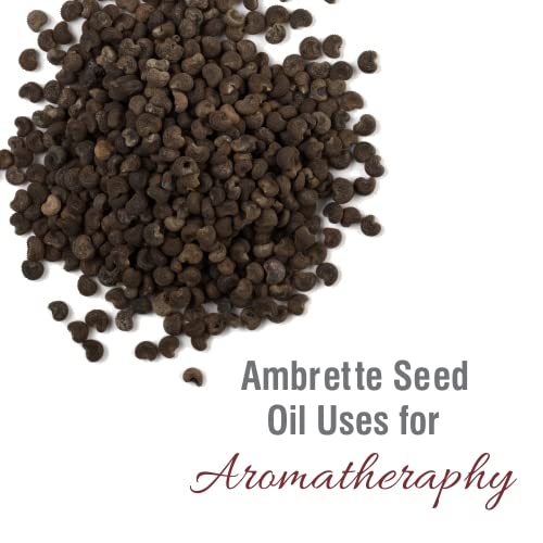 Crysalis Ambrette Seed (Abelmoschus moschatus) Oil - 0.51 Fl Oz (15ml) Crysalis