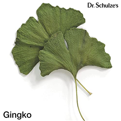 Brain Formula 2 oz. - Vegan and Wild-Harvested | Stimulates Circulation and and Improved Dr. Schulze's