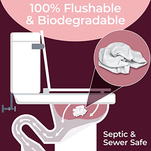 Booty Brand Wipes for Women - 320 Wipes for Adults | Premium Feminine - pH Balanced & Infused BOOTY WIPES