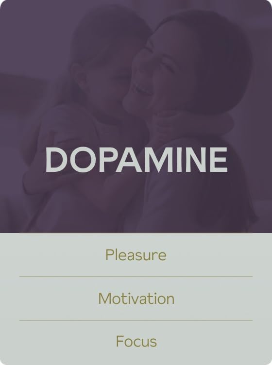 AshwaMag by GreenWave Nutrition | 5 Clinically Studied Ingredients | Happier & Motivated AshwaMag