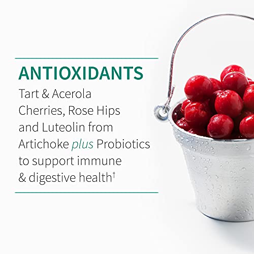 Garden of Life Quercetin Once Daily Immune System Support