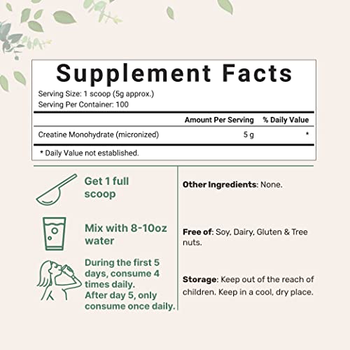 Creatine Monohydrate Powder 500 Grams (1.1 Lb), 5000mg Per Serv Micro Ingredients