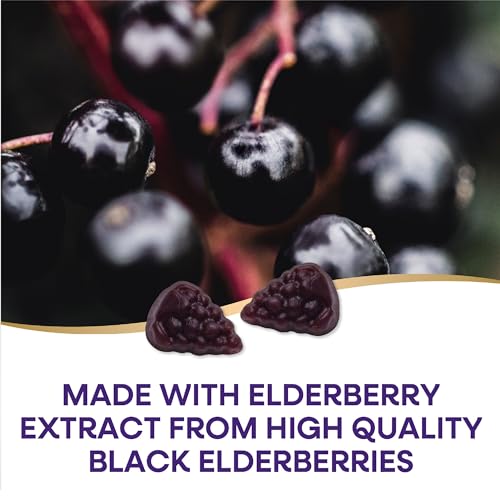 Nature's Way Sambucus Elderberry Immune Gummies, Daily Immune Support Nature's Way