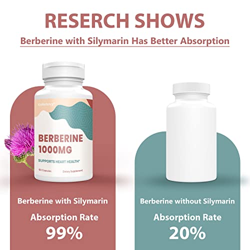 KoNefancy Berberine 1000mg with Silymarin,High Absorption Berberine HCL Supplements