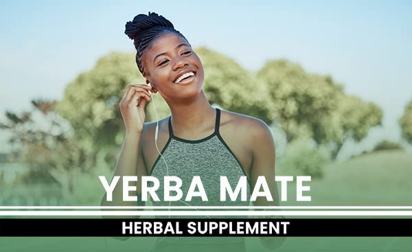 PURE ORIGINAL INGREDIENTS Yerba Mate (365 Capsules), No Magnesium Or Rice Fillers PURE ORIGINAL INGREDIENTS