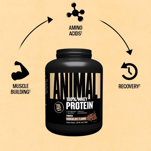 Animal 100% Whey Protein Powder – Whey Blend for Pre- or Post-Workout, Recovery Animal