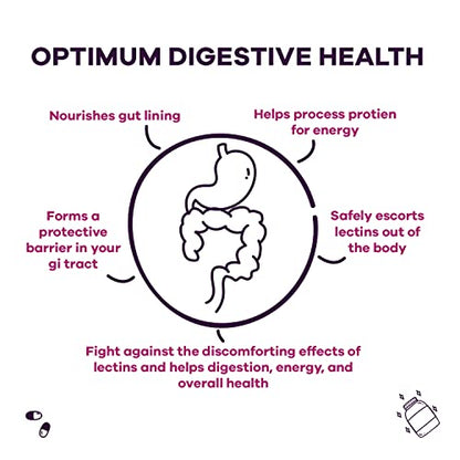 GOBIOTIX Lectin Defense - Lectin Blocker Supplement with MSM and Digestive Enzymes