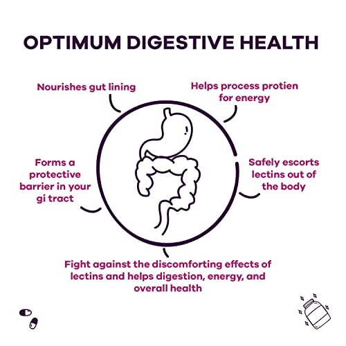 GOBIOTIX Lectin Defense - Lectin Blocker Supplement with MSM and Digestive Enzymes