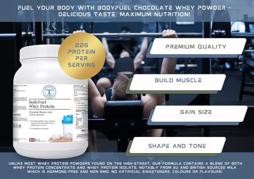 Complementary Supplements - BodyFuel Whey Protein Isolate & Concentrate Chocolate Flavour Complementary Supplements