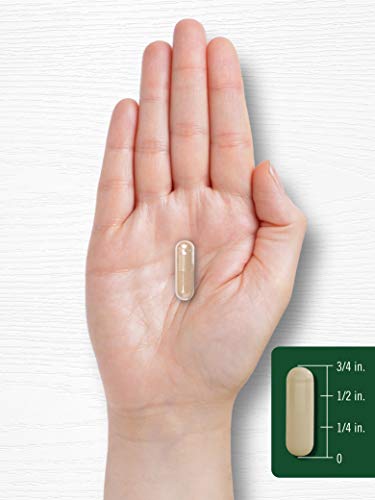 Carlyle Kudzu Root | 100 Extract Capsules | Non-GMO and Gluten Free Formula