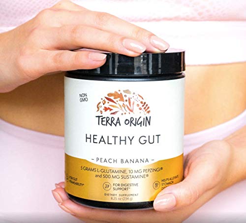 TERRA ORIGIN Healthy Gut Peach Banana | 3-Pack, 90 Servings (Three 30-Serving tubs)