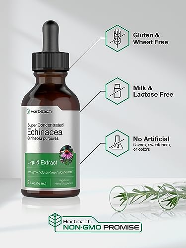 Echinacea Drops Liquid Extract | 2 fl oz | Super Concentrated Tincture | Alcohol Free