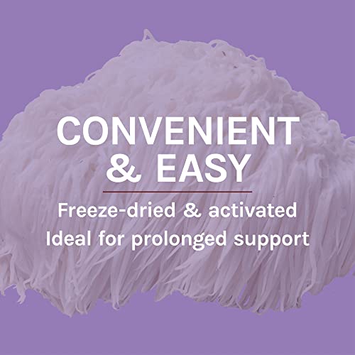 Host Defense, Lion's Mane Capsules, Promotes Mental Clarity, Focus and Memory