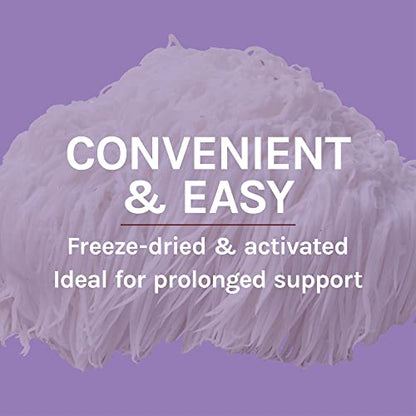 Host Defense, Lion's Mane Capsules, Promotes Mental Clarity, Focus and Memory