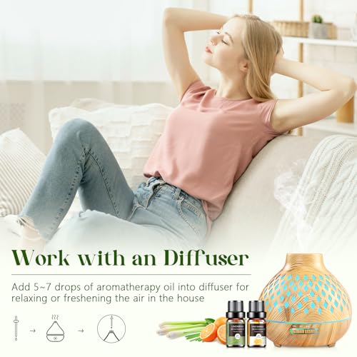 Essential Oils Set - 12 Pcs Aromatherapy Essential Oil Kit for Diffuser, Humidifier, Aromatherapy, Massage Aeshory