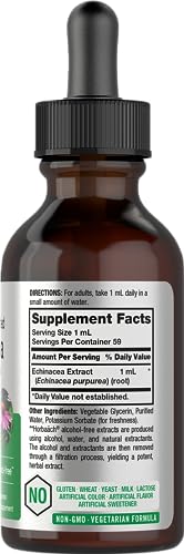 Echinacea Drops Liquid Extract | 2 fl oz | Super Concentrated Tincture | Alcohol Free