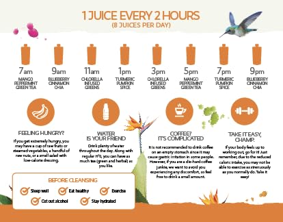 LEMONKIND 3-Day PROTEIN Juice Cleanse – High Protein Detox to Boost