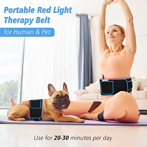 Red Light Therapy Near Infrared Light Therapy Wrap Belt for Body with Timer for Waist Back Shoulder AKYSUN