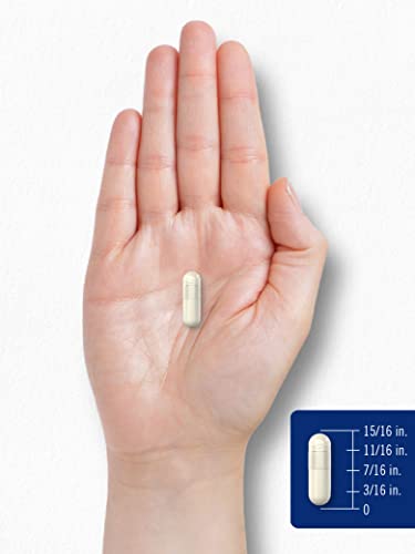 Carlyle Chitosan Supplement 1200mg | 120 Quick Release Capsules | Non-GMO