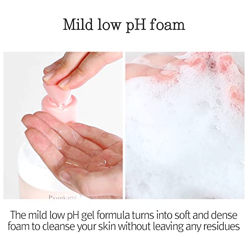 Pyunkang Yul Low pH Feminine Wash with Green Tea, Cica, Moisturizing for Women Vaginal Health Pyunkang Yul