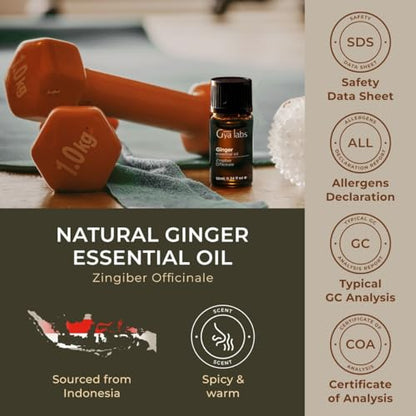 Gya Labs Ginger Oil for Comfort - Natural Ginger Essential Oil for Massage Oil - Ginger Oil