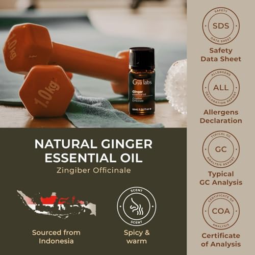 Gya Labs Ginger Oil for Comfort - Natural Ginger Essential Oil for Massage Oil - Ginger Oil