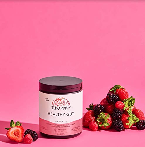 TERRA ORIGIN Healthy Gut Powder (Berry Flavor) |30-Servings with L-Glutamine, Zinc