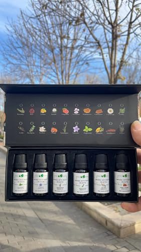 Essential Oils Set 100% Pure Natural DR.NITTA Top 6 Oils for Massage,Diffusers,Humidifier DR.NITTA
