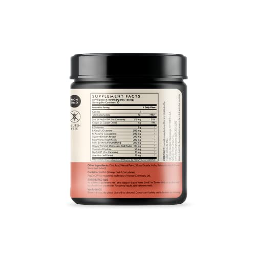 TERRA ORIGIN Healthy Gut Watermelon | 30-Servings with L-Glutamine, Zinc TERRA ORIGIN