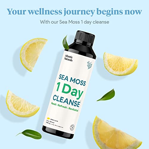 Sea Moss 1 Day Cleanse - Full Body Detox to support bowel movements, Kidney Health Atlantic Naturals