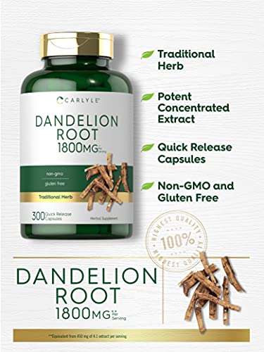 Carlyle Dandelion Root Capsules 1800mg | 300 Count | Non-GMO, Gluten Free