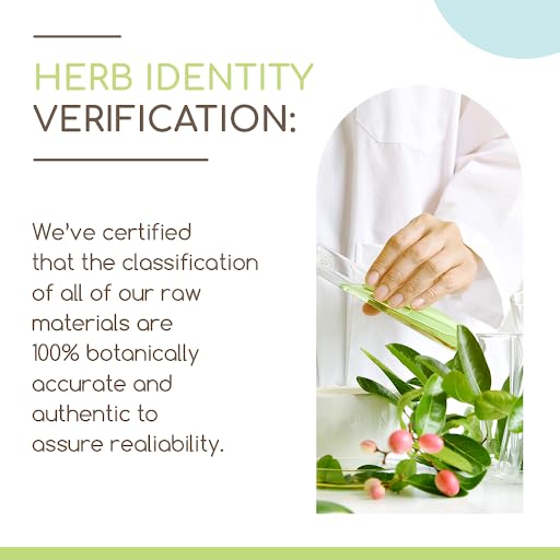 Barberry Root B120 Alcohol-Free Herbal Extract Tincture, Concentrated Liquid Drops Natural Barberry HerbEra