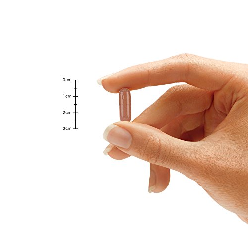 Green Tea Extract 98% Standardized with EGCG | Healthy Weight Support, Metabolism Natures Wellness