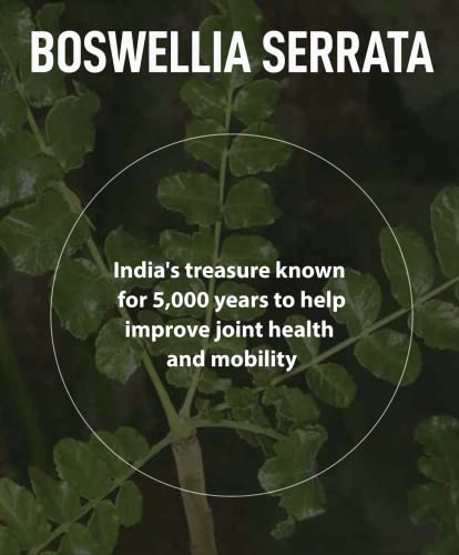 FromBIO for Joints Health and Cartilage, Boswellia, 1,000mg of Boswellia and 71mg of AKBA & KBA FromBIO