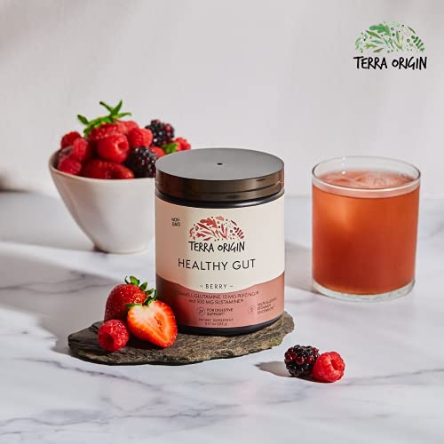 TERRA ORIGIN Healthy Gut Powder (Berry Flavor) |30-Servings with L-Glutamine, Zinc
