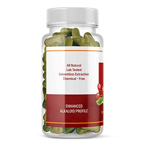 Full Spectrum Yerba Mate Capsules - Boosts Energy & Mental Focus - Supports Health