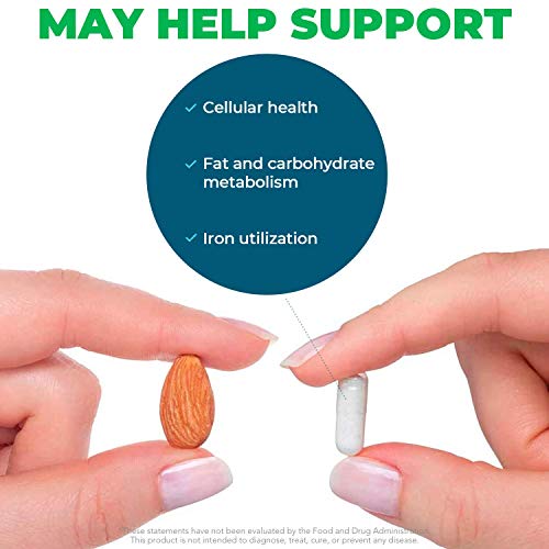 Seeking Health Molybdenum 500, Molybdenum Glycinate Chelate Supplement Seeking Health