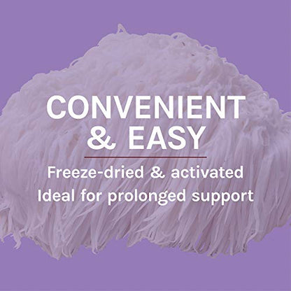 Host Defense, Lion's Mane Capsules, Promotes Mental Clarity, Focus and Memory