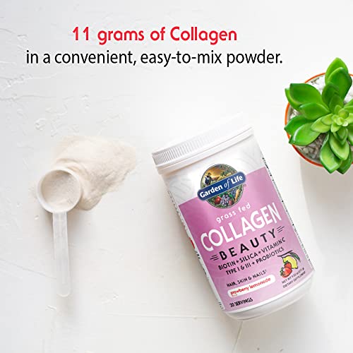 Garden of Life Grass Fed Collagen Beauty - Strawberry Lemonade, 20 Servings - Collagen