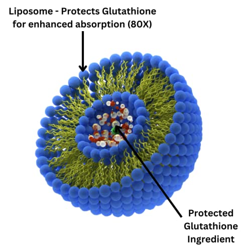Research Labs Liposomal Glutathione Supplement w/Gluta-IV™, 100x Enhanced Absorption Research Labs