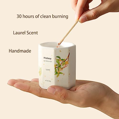 Modoray Scented Candle, Candles for Home Scented, Aromatherapy Candle，Long Lasting Natural Modoray