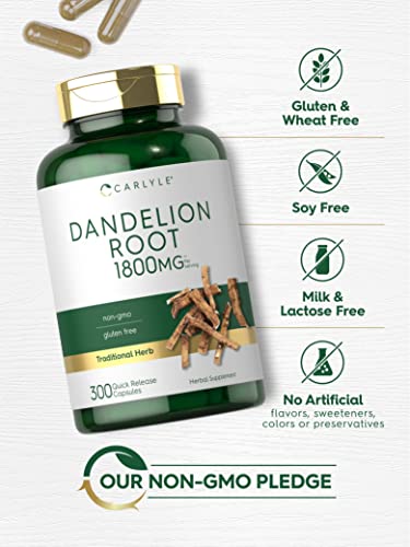 Carlyle Dandelion Root Capsules 1800mg | 300 Count | Non-GMO, Gluten Free