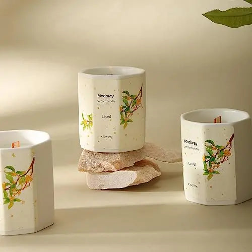 Modoray Scented Candle, Candles for Home Scented, Aromatherapy Candle，Long Lasting Natural Modoray
