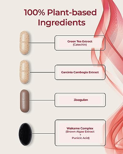FOODOLOGY Burningology D-Day (Pack of 1, 10 Days) - Jiaogulan, Wakame Complex, Green Tea Extract