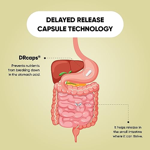Sandhu's Gut Health - Prebiotic, Probiotic, Postbiotic & L-Glutamine – Digestive Health Sandhu's
