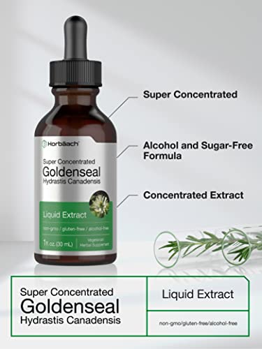 Goldenseal Root Extract Liquid | 1 fl oz Tincture | Super Concentrated | Alcohol Free