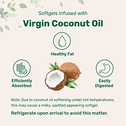 Micro Ingredients Biotin 10,000mcg w/Hyaluronic Acid 25mg | 365 Virgin Coconut Micro Ingredients