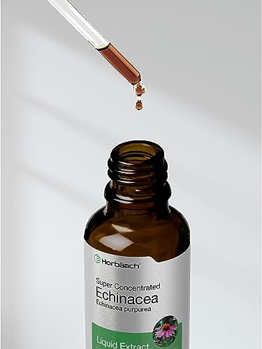 Echinacea Drops Liquid Extract | 2 fl oz | Super Concentrated Tincture | Alcohol Free